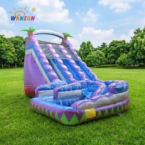 Toboggan aquatique gonflable commercial extérieur à double voie en PVC violet pour centre commercial et parc aquatique - Product Image 1
