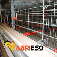 Cage à poulets de chair en acier galvanisé durable, équipement d'élevage préfabriqué pour poulailler
