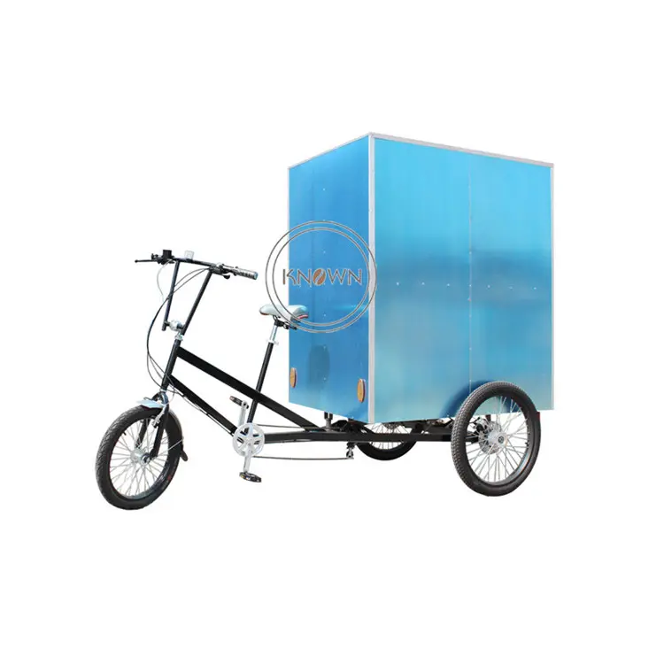 Tricycle 10 kg à 3 roues, chariot de livraison pour adultes sur le marché européen, personnalisation, livraison pour adultes