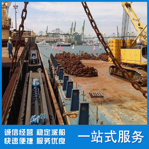 Transporte Internacional de Mercancías a Granel, Servicio de Exportación de Carga desde Shanghái al Puerto de Manzanillo - Product Image 2