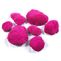 Vente en gros de mousse d'oreiller préservée des cinq dernières années pôle stabilisé naturel coloré matériaux de bricolage mur de mousse à la main fête des mères