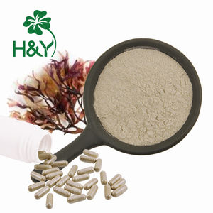 Hierbas Musgo de mar irlandés Chondrus Crispus Musgo irlandés Extracto de seamoss irlandés Polvo de seamoss - Product Image 3