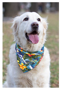 تصميم الأزياء مخصص عصابات الكلب المطبوعة مثلث الكلب للحيوانات الأليفة الصغيرة إلى الكبيرة - Product Image 3