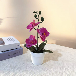 Orquídea Phalaenopsis Artificial Paulon, Bonsái de 26 cm de Altura, Planta Decorativa de Interior en Maceta, Flor Artificial en Maceta - Product Image 3