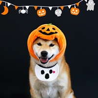 Chapeau de citrouille d'Halloween haut de gamme avec ensemble bavoir fantôme en peluche douce, accessoires de photographie amusants, personnalisable en usine, ensemble de cosplay pour animaux de compagnie