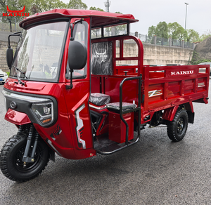 Distributeur mondial recherché 2025 <span class=keywords><strong>meilleur</strong></span> Tricycle cargo moto à essence KAINIU J7 Tricycle refroidi à l'eau 200CC moteur 3 roues - Product Image 1