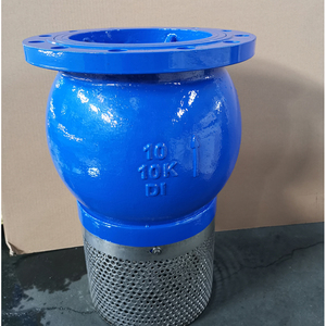 Pie de acero inoxidable y hierro fundido de 4 y 16 pulgadas, estándar ANSI, 125 lb y 150 lb, para bomba de agua con válvula de retención unidireccional - Product Image 6