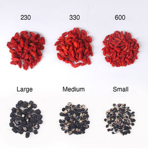 Supplément de tisane chinoise Wolfberry aux normes européennes Baie de Goji rouge biologique au goût sucré fraîchement traité <span class=keywords><strong>Sac</strong></span> en vrac emballé - Product Image 6