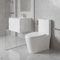 Pas cher Prix One Piece Céramique WC Toilette Sanitaire pour Salle De Bains Laver Sanitarios Toilette
