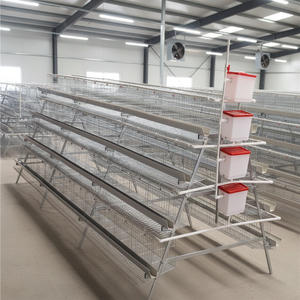 Jaula automática de 4 niveles para gallinas ponedoras, venta al por mayor 2026 - Product Image 1