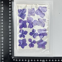 12 buah/pak Hydrangea untuk Resin epoksi kerajinan bingkai lilin pernikahan dan penyebar buluh ditekan bunga