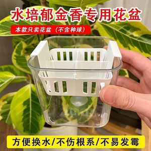 Hydroponic Tulip Grower Set Transparent Plastic Planter With Basket For Desktop Use <b>Square</b> Design Minimalist Style A-130 - Product Image 4