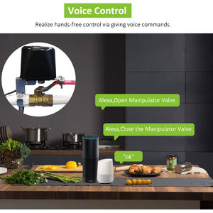 Lonten Zigbee WiFi Sistema de automatización del hogar inteligente Válvula de gas de agua a prueba de agua Soporte inalámbrico Control de voz Dispositivo de seguridad inteligente - Product Image 5