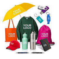 Cadeaux promotionnels personnalisés pour entreprises, articles publicitaires, ensembles de cadeaux promotionnels avec logo