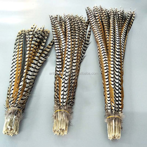 Plumas de cola de faisán Reeves natural, <span class=keywords><strong>10</strong></span>-160cm, venta al por mayor - Product Image 6