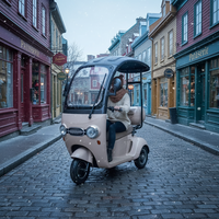 Vélo électrique à trois roues Holladay à batterie longue durée, carrosserie ouverte, tricycle électrique OEM pour le transport et les passagers