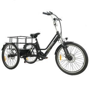 Vélo <span class=keywords><strong>électrique</strong></span> longue portée Trike adulte 36v vélo cargo <span class=keywords><strong>électrique</strong></span> <span class=keywords><strong>avec</strong></span> <span class=keywords><strong>toit</strong></span> 250w Tricycle <span class=keywords><strong>électrique</strong></span> bas prix - Product Image 2