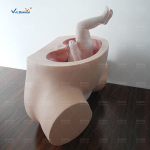 Modèle de formation avancée simulée de sage-femme pour les étudiants en médecine dans l'enseignement hospitalier - Product Image 5