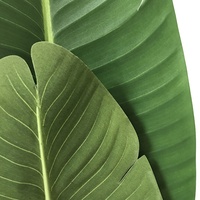 Arbre bananier artificiel de 63 pouces en plastique, 160 cm, bonsaï, plantes bananiers artificielles pour la décoration de la maison et des restaurants