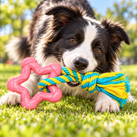 Jouet à mâcher pour chien en coton tressé avec balle en TPR, corde durable pour les soins dentaires et le jeu