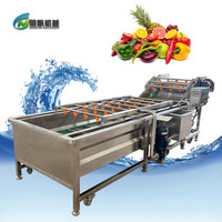 Dieptereinigende luchtbelwasmachine voor fruit en groenten, efficiënt reinigingssysteem voor wortelgroenten en fruit, motor en motorblok.
