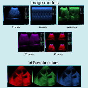 Scanner à ultrasons pour la grossesse des porcs, des chats, des chèvres et des chiens, prix de gros, pour la vétérinaire, avec étui à ultrasons - Product Image 4