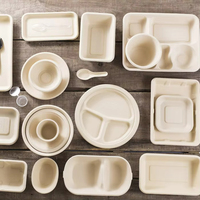 Support à bière en bagasse de canne à sucre 100 % compostable, service personnalisé