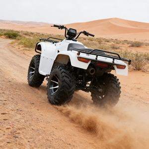 Buggy de plage parfait, machine de plaisir en plein air pour des promenades décontractées le long de la côte et sur les sentiers côtiers - Product Image 3