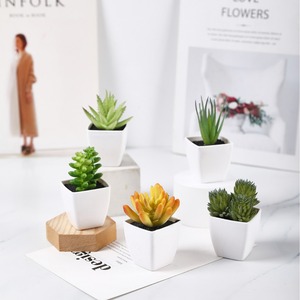 Plantes succulentes artificielles Fuyuji 8cm en PVC, mini-pot décoratif pour la maison, accessoires de mariage - Product Image 2