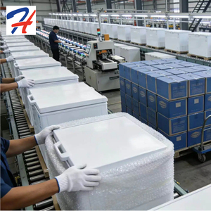 Congelatore HT CKD SKD per Produzione di Massa con Linea di Assemblaggio/Test/Imballaggio Personalizzabile Servizio Completo - Product Image 3