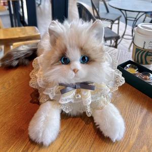 Ragdoll Cat juguetes de peluche Siamés Birman británico Shorthair Cat Throw Pillow American Exotic Shorthair persa muñeco de peluche - Product Image 4