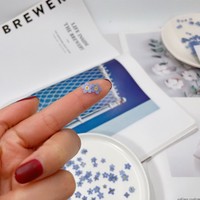 Fleurs séchées et pressées de Myosotis bleu pour l'art de la résine, la fabrication de coques de téléphone, les marque-pages et les projets DIY