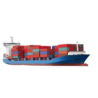 Professional Container Cargo Shipping Service from Guangzhou