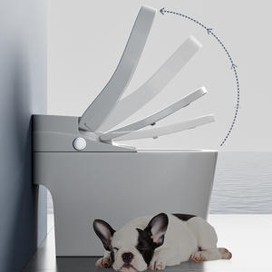 Customized Intelligent Color Pulse Household Siphonic Bathroom <strong>Toilet</strong> Without Water Pressure Limit and Unplugged - Product Image 2