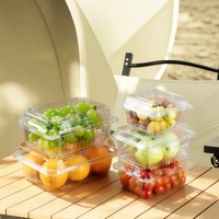 Groothandel plastic fruitdozen geventileerd design transparante plastic fruitverpakking voor aardbeien en bosbessen