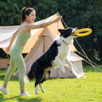 Jouet pour chien transfrontalier en EVA pour grandes races, interactif, sonore, anneau de tirage, résistant à la mastication, anti-ennui