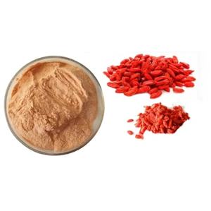 Gufeng Premium Grade Hoge Kwaliteit 50% Polysacchariden Chinese Wolfberry 10:1 <span class=keywords><strong>Lycium</strong></span> <span class=keywords><strong>Extract</strong></span> Natuurlijk Goji Berry <span class=keywords><strong>Extract</strong></span> - Product Image 6