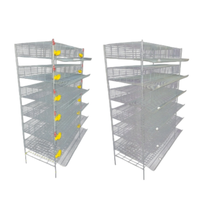 Cages de batterie professionnelles pour l'élevage de cailles en élevage intensif