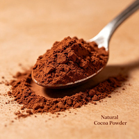 Fournisseur de poudre de cacao brute OEM, poudre de cacao naturelle