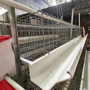 Attrezzatura Automatica per Allevamento di Galline Ovaiole: Gabbie in Acciaio Zincato per Pollai, Vendita Promozionale - Product Image 3