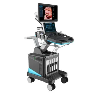 Dawei Medische Buik Gynaecologie Neonatale Diagnostische Echografie Machine 4d 5d Trolley Kleur Doppler
