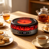Cuisinière électrique en céramique infrarouge à flamme simulée 1600W pour la maison, chauffe-eau et chauffage d'appoint 110V/220V, compatible avec plusieurs casseroles
