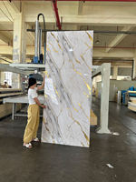 Feuille de marbre de PVC de panneau UV de 2.8mm 3mm pour la décoration intérieure et le comptoir de cuisine de quartz