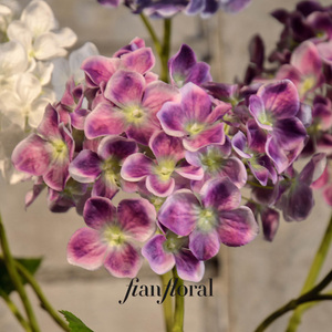 FONG IAN 도매 웨딩 인조 백색 수국 공장 도매가 저 MOQ 긴 줄기 2송이 수국 장식용 - Product Image 5