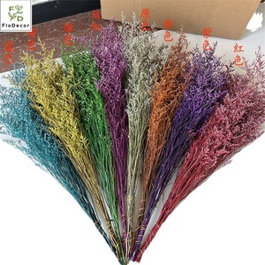 120g/Paquete 2023 Popular al por mayor Flor natural preservada de Yunnan, <span class=keywords><strong>Limonium</strong></span> Misty, Hierba de San Valentín, Flor seca para decoración - Product Image 3
