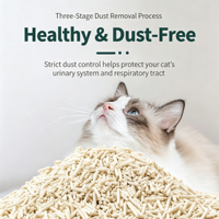 Litière pour chat écologique 100% naturelle au thé vert et tofu pêche, forte absorption, jetable aux toilettes, prix usine, vente en gros