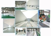 Tente de sports de structure de dôme soutenue par air de grand terrain de football gonflable à vendre