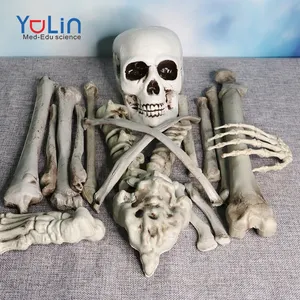 万圣节19散骨模型模拟人骨在鬼屋密室逃生装扮道具
