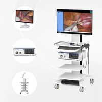 Système de caméra d'endoscopie Full HD IKEDA YKD-9102T certifié CE pour la laparoscopie, l'ORL et l'arthroscopie