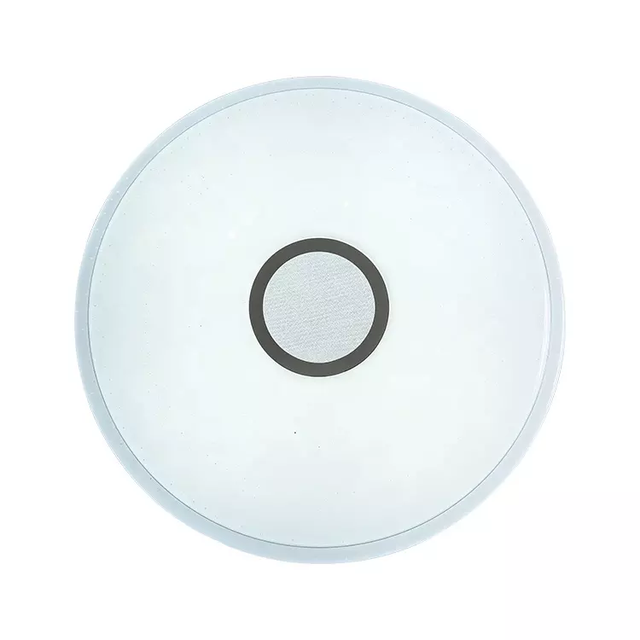 Smart LED Modern Ceiling Lighting Mounted Ceiling Lamp for Home